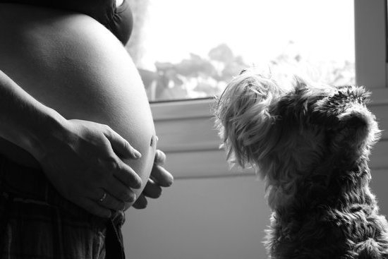  How To Avoid Weight Gain During Pregnancy You Getting Pregnant